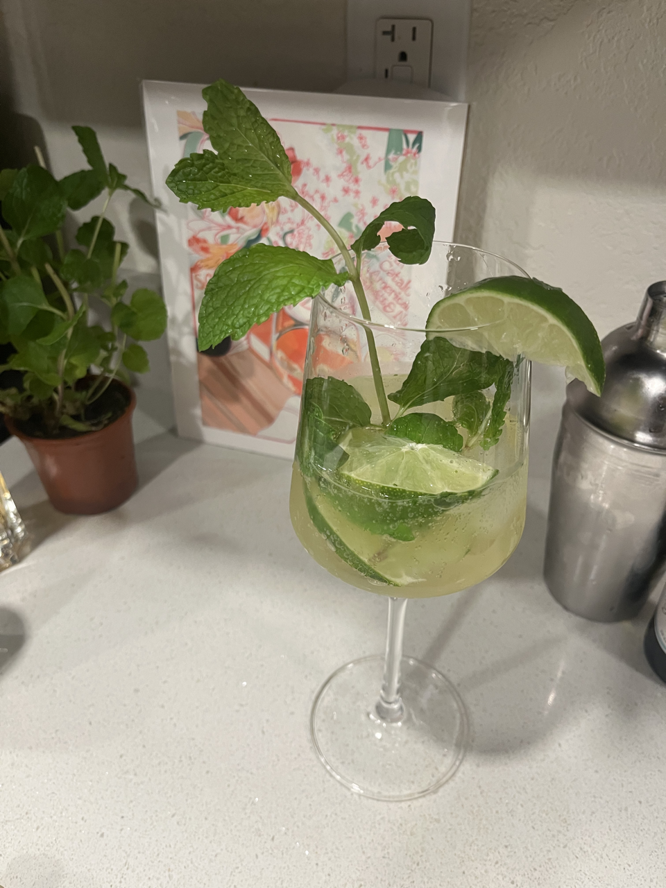 How to Make The Perfect Summer Cocktail – Hugo Spritz Recipe